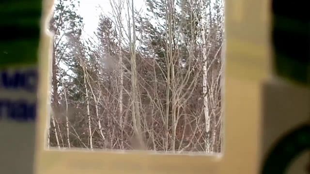 *СИНИЦЫ КЛЮЮТ СЕМЕЧКИ В КОРМУШКЕ* смотреть онлайн
