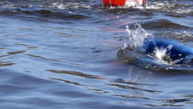 Тренировки по плаванию на открытой воде с BUNI team смотреть онлайн