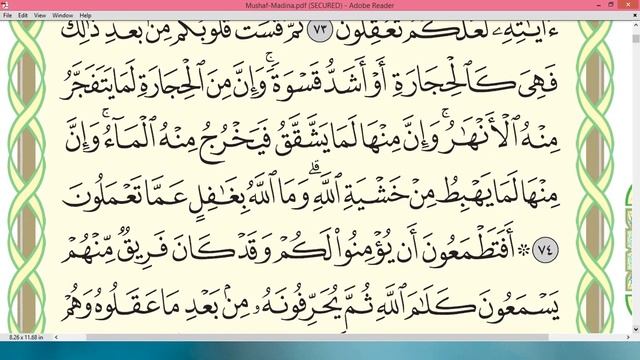 Practice reciting with correct tajweed - Page 11 (Surah Al-Baqarah) смотреть онлайн