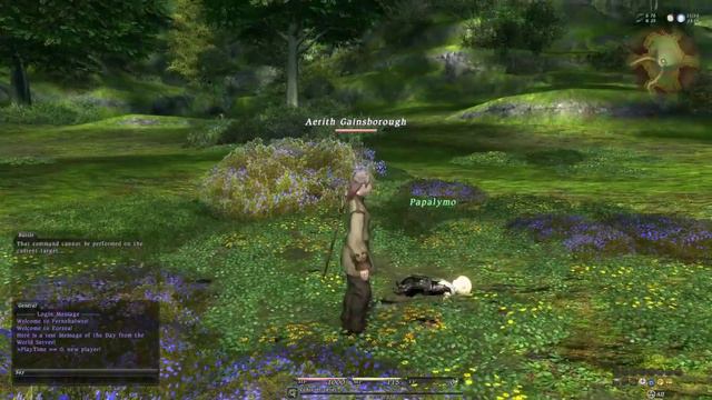 FINAL FANTASY XIV Private Server Test