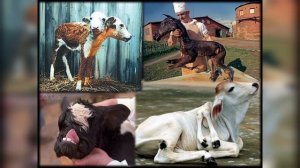 Познавательный урок "Экологические последствия техногенных катастроф"