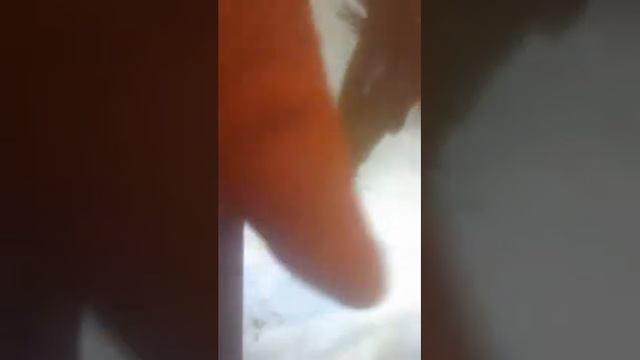 КАК СПАСТИСЬ ОТ НЛО 21 СЕНТЯБРЯ ПРИЛЕТЯТ ЗАБРАТЬ В ТАРЕЛКИ ЛЮДЕЙ И В АД смотреть онлайн