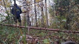 Как сделать, метла из Гарри Поттера своими руками