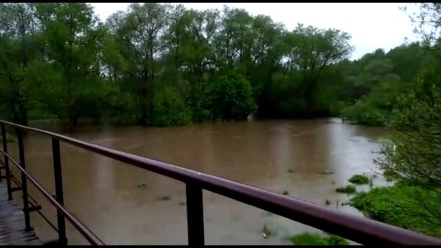 Мизиново, разлив реки Воря. смотреть онлайн