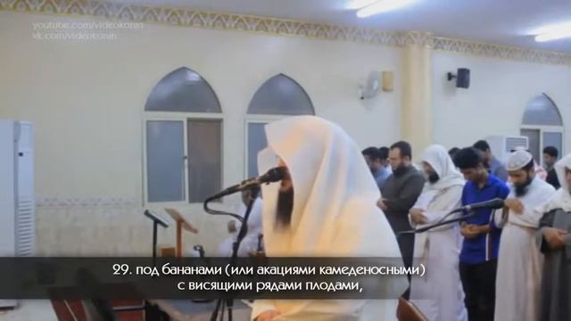 Абу Аус #AbuAus