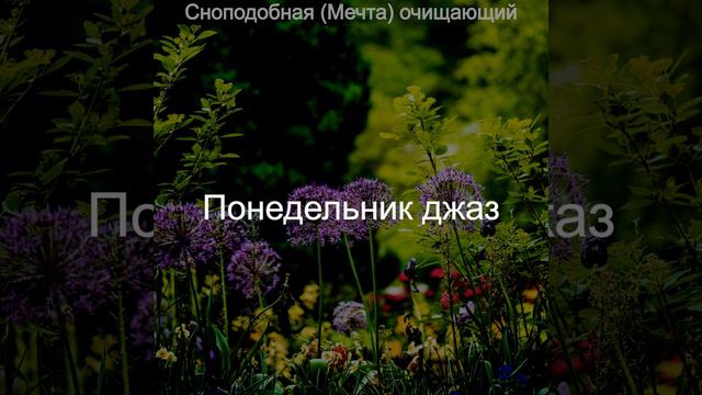 Чувство - Большой Расслабляющий смотреть онлайн