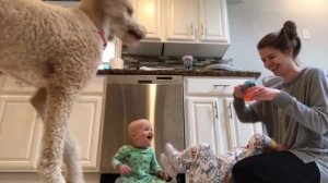 Смешные видео с детьми #105.mp4