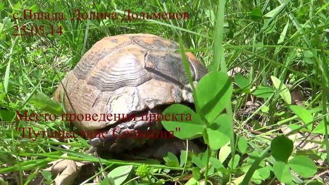 Магия, уроки магии, обучение магии, черная магия, белая магия, онлайн, практическая магия, скачать. смотреть онлайн