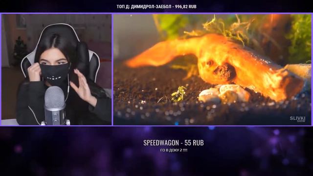 TenderlyBae смотрит МЫ СОЗДАЕМ ПОДВОДНЫЙ ТЕРРАРИУМ от SlivkiShow смотреть онлайн