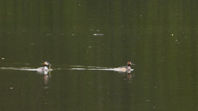 Panasonic DVX200 Videotagebuch 17./18./ u. 19.4.2023 смотреть онлайн