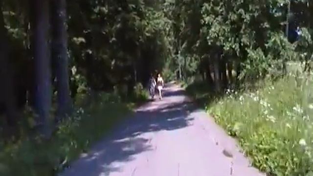 Парк Горки Ленинские смотреть онлайн