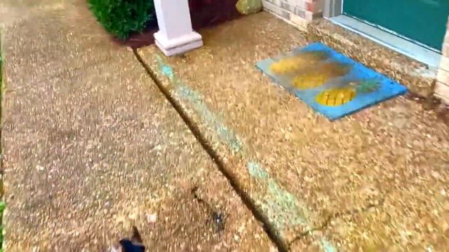 The Red Shoes By Evelyn O’Neal - Episode 1