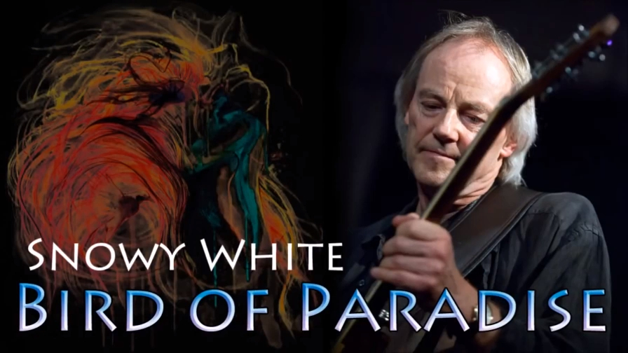 Snowy White - Bird of paradise (SR)_x264 смотреть онлайн