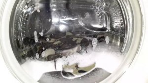 Candy: Деликатная 40° 400 об/мин | Стирка Чёрных вещей.