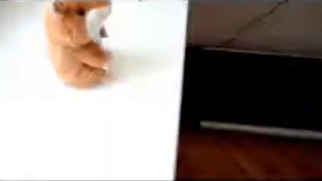 Говорящий хомяк и собака смотреть онлайн