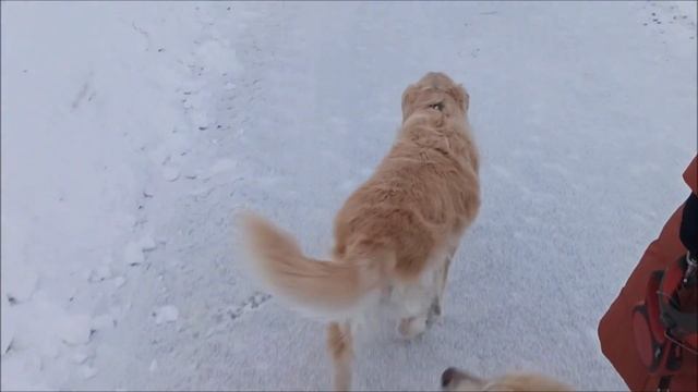 Зимняя сказка у бабики!