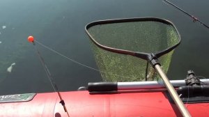 Рыбалка на кольцо. Волга.