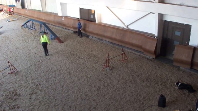 Квалификационные соревнования по аджилити 30.04.2016 г., Москва, Аджилити-1, 1ая трасса