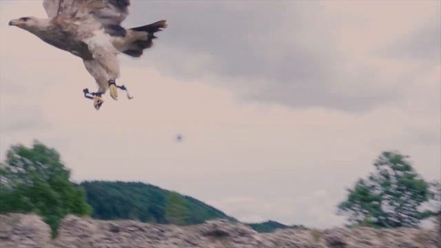 Słowacki Raj i Pieniny | VLOG | POLAND ON AIR | #Słowacja #SłowackiRaj #Pieniny смотреть онлайн