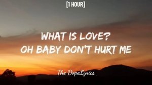 Haddaway - What is Love [1 HOUR/Lyrics] | «baby don't hurt me»
