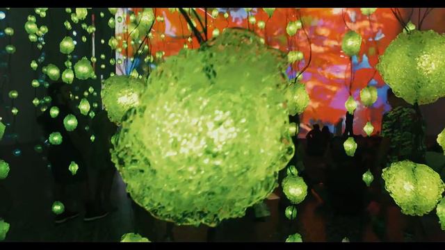 Pipilotti Rist: Pixel Forest and worry will Vanish Houston Recap смотреть онлайн