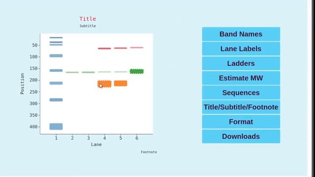 Free Online Gel Analyzer Tutorial