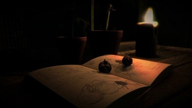 The Herbologist - Kickstarter Backing Video - "Plant the First Seed.." смотреть онлайн