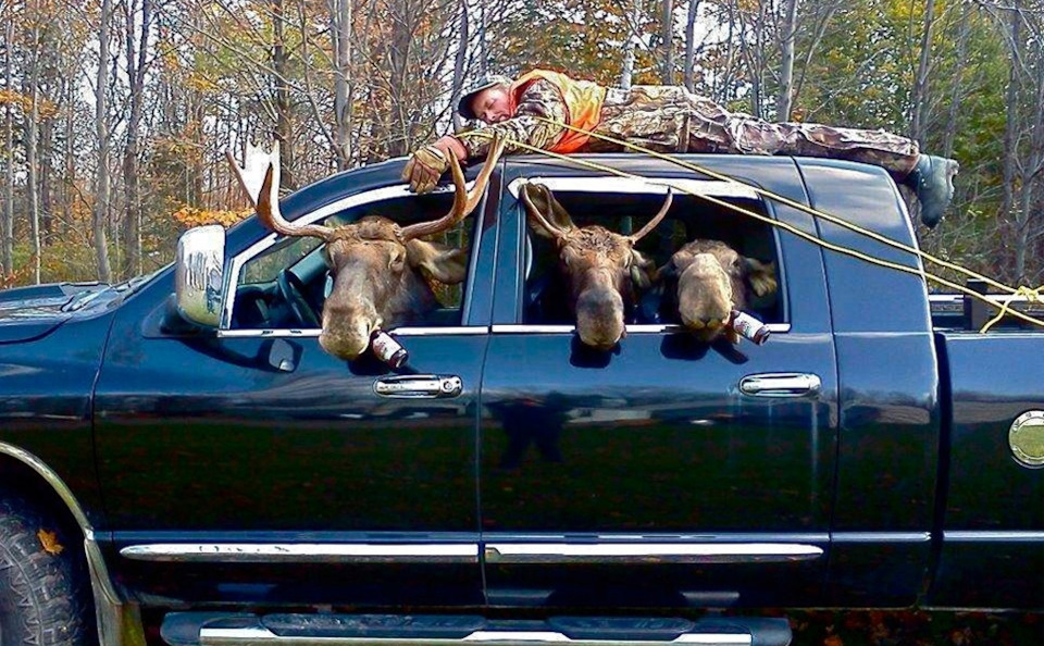 Приколы на охоте видео смеяться до слез / Приколы и необычные случаи на охоте смотреть онлайн