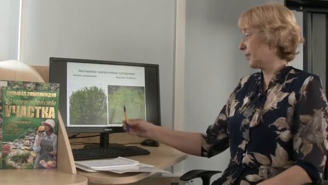 Благоустройство придомовых территорий смотреть онлайн