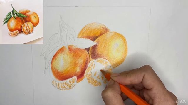 Уроки рисования цветными карандашами. Как нарисовать мандарин. Рисуем мандарин карандашами смотреть онлайн