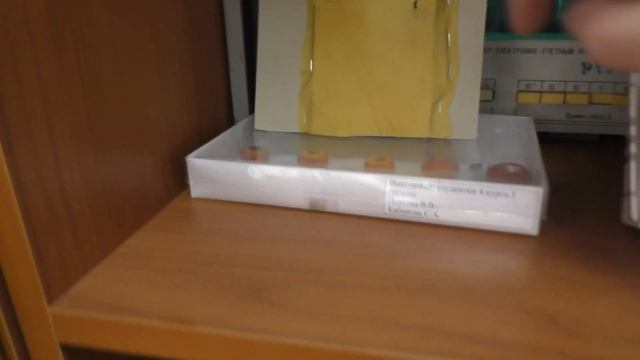 Поделки студентов-биологов смотреть онлайн