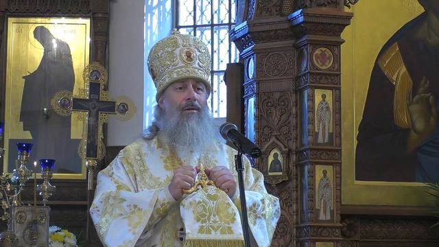 Проповедь митр. Арсения в Неделю 20-ю по Пятидесятнице 25.10.20 г. смотреть онлайн