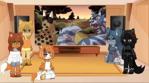 Реакция котов воителей на Украденную Надежду•2/??