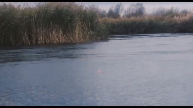 24 октября 2023 г. смотреть онлайн