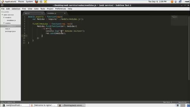 Web service restfull con mongodb nodejs y nginx смотреть онлайн