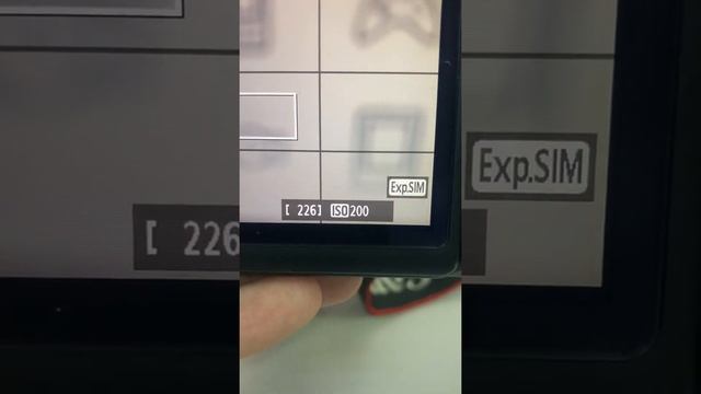 1 ноября 2021 г.