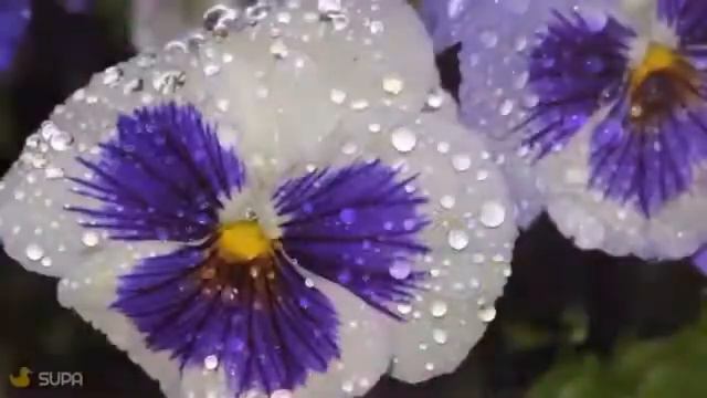 ДЛЯ ВАС И ТОЛЬКО ДЛЯ ВАС