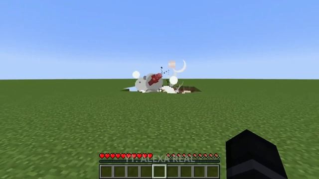 Will You Get Bad Omen|Different Types #trending #minecraft #viralvideo #gaming #ankitgamer смотреть онлайн
