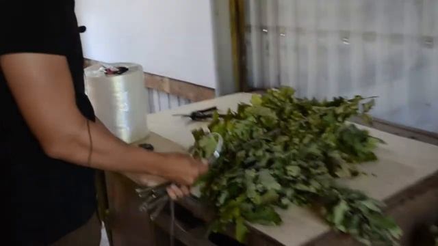 Бизнес идея на вениках разных сортов. #бизнесидея смотреть онлайн