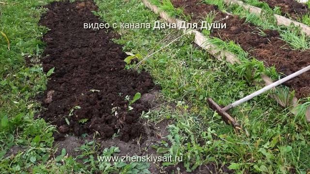 НАВОЗ: какой бывает, чей лучше, когда и сколько вносить? смотреть онлайн