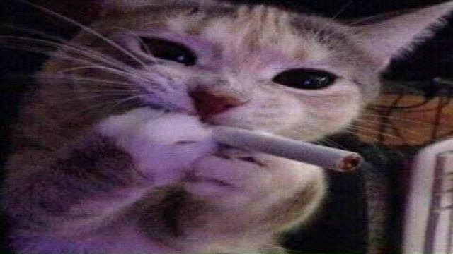 Ain't shit - sped up^^ {from are queennn!!!! doja cat} get it girl смотреть онлайн