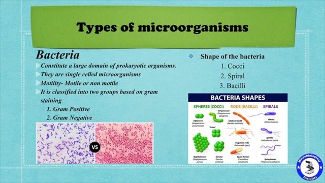 Introduction to Microbiology / Types of microorganisms смотреть онлайн