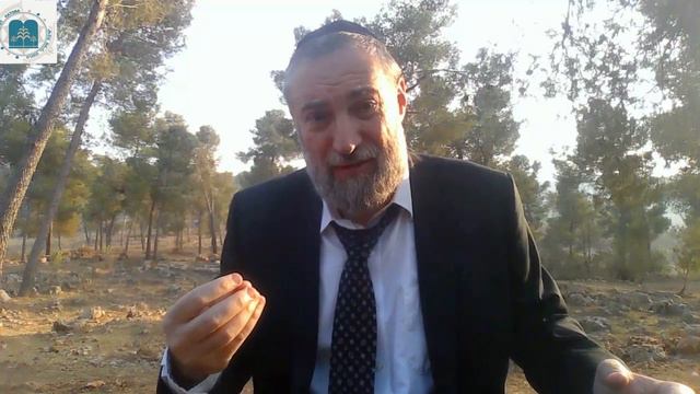 👑 Притчи Царя Соломона. Урок 5. Даат - разум | Рав Давид Гройсман смотреть онлайн