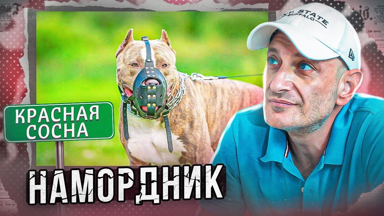 АНТУАН НАДЖАРЯН, про намордник(приют для собак 