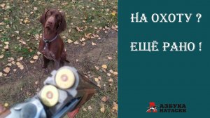 Натаска вместо охоты!  17 серия