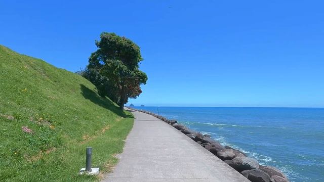 New Plymouth Coastal Walkway | New Plymouth New Zealand Walking Tour 4K | Fitzroy to the Wind Wand смотреть онлайн