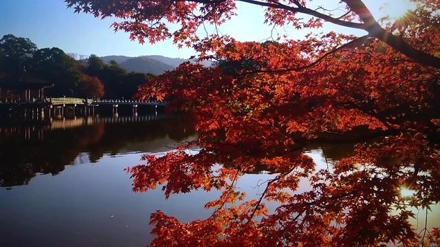 Больному/Саша Чёрный,1910г./ смотреть онлайн