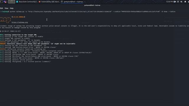 BLIND SQL INJECTION (SOLUTION) - HACKCYTES смотреть онлайн