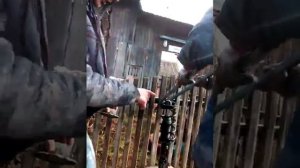 Замена задних стоек на шевроле лачетти хетчбек