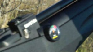 PCP Reximex Daystar к.6.35 - Внешний вид